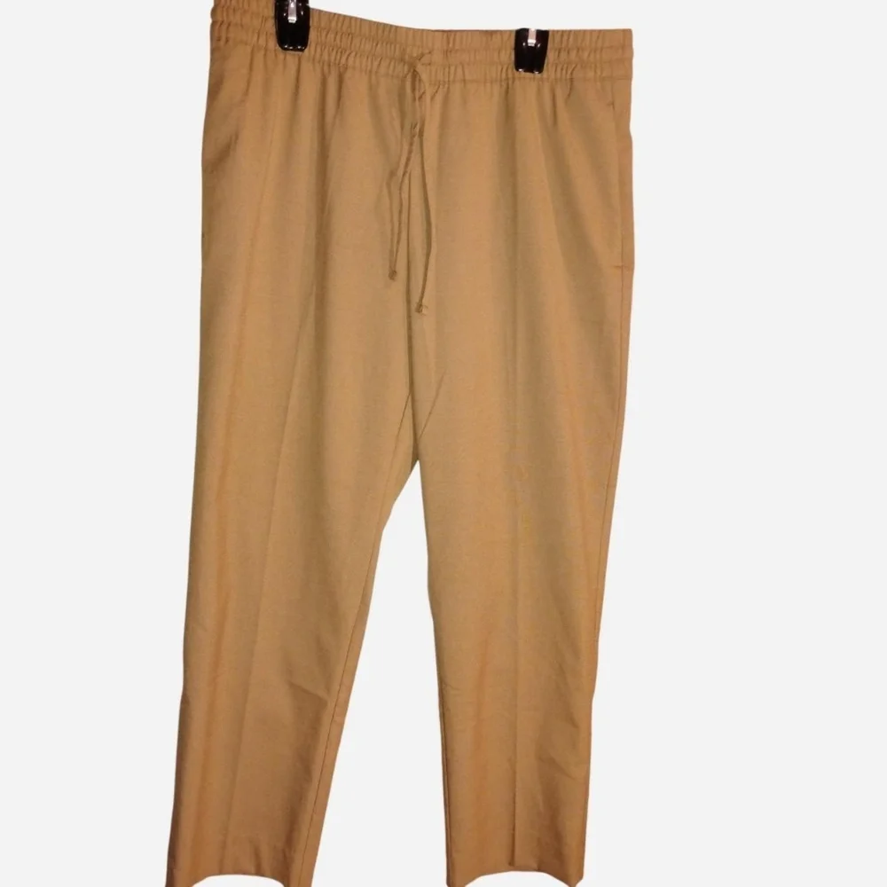 Mens Banana Republic Tapered Fit Drawstring Dress Pants - Tan/Khaki - Large